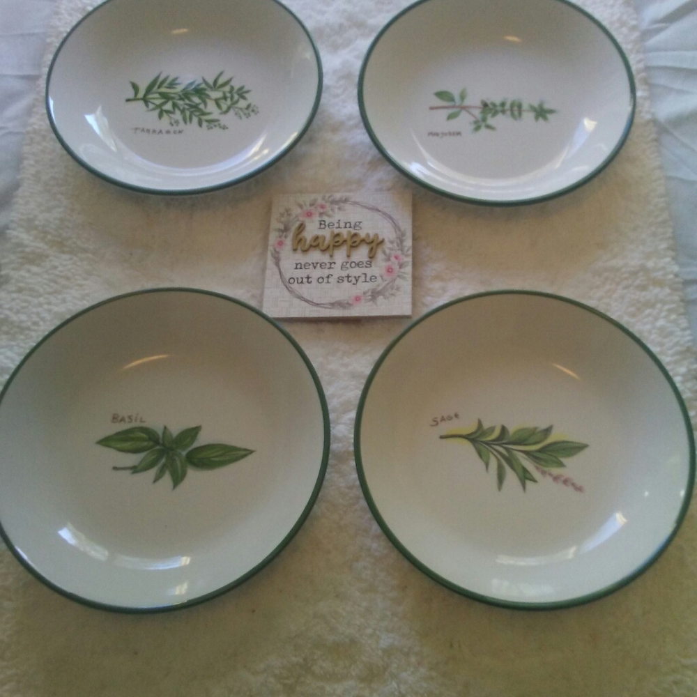 BRAND NEW SPICE GARDEN DISHES